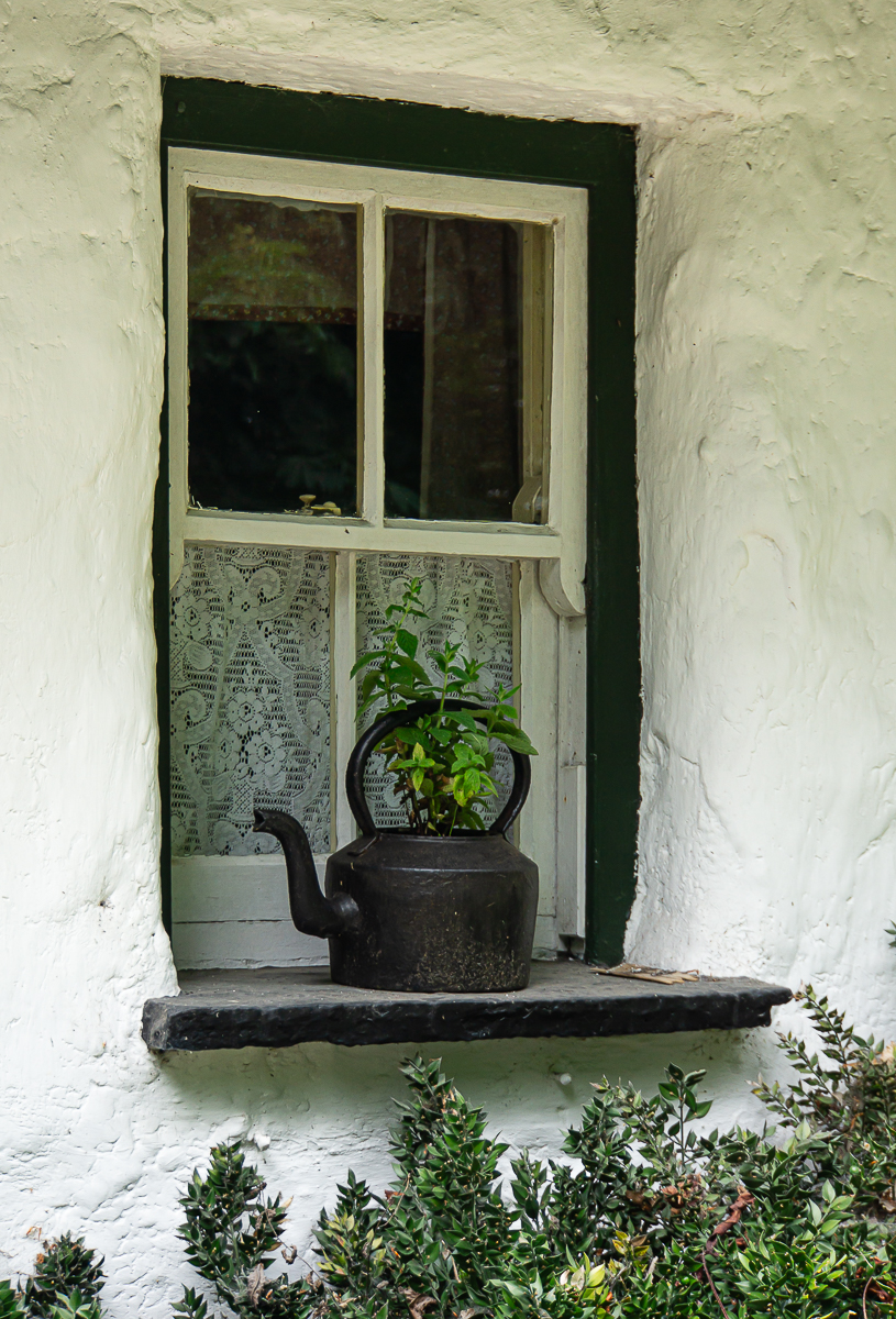 Cottage Window - Robyn Morrison